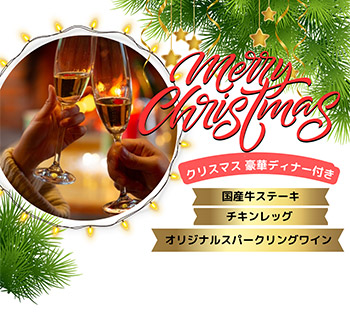【期間限定】クリスマスプラン