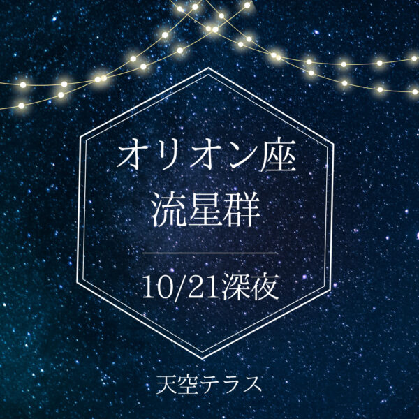 【10/22がピーク！】オリオン座流星群