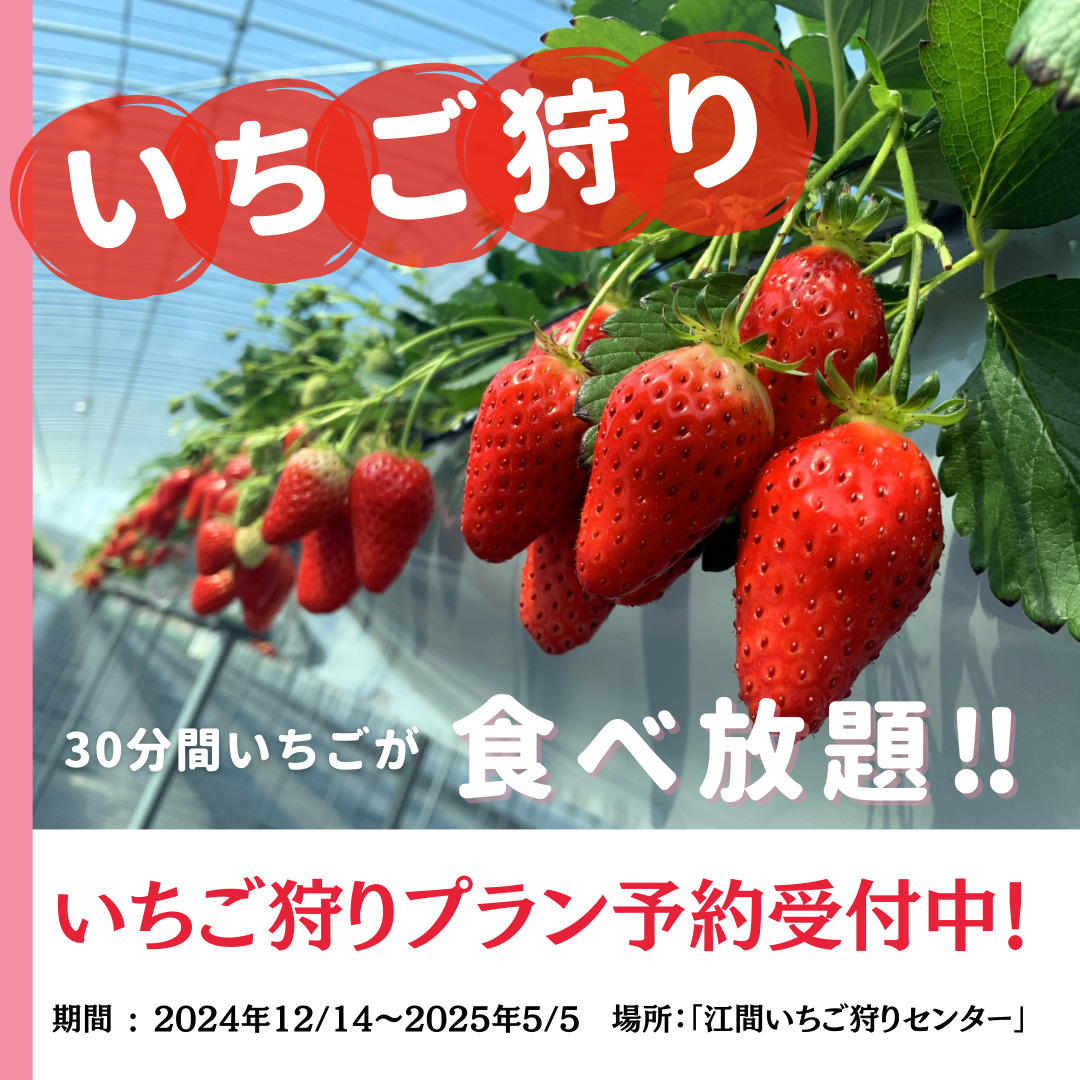 いちご狩りチケット付きプラン🍓|静岡県沼津のグランピングは【天空