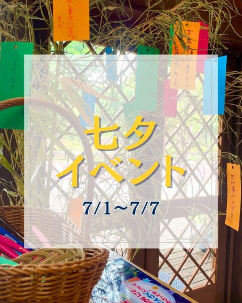 七夕イベントを開催します⭐