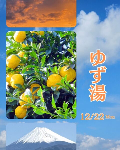 12月22日は冬至です🌙