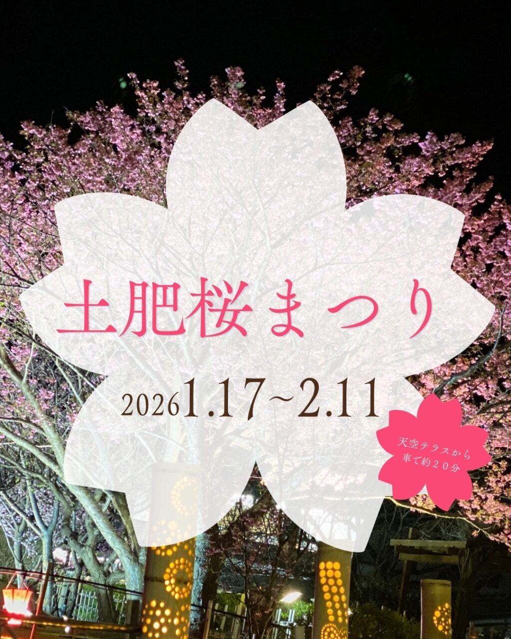 土肥桜まつり』が今年も開催されます🌸|静岡県沼津のグランピングは